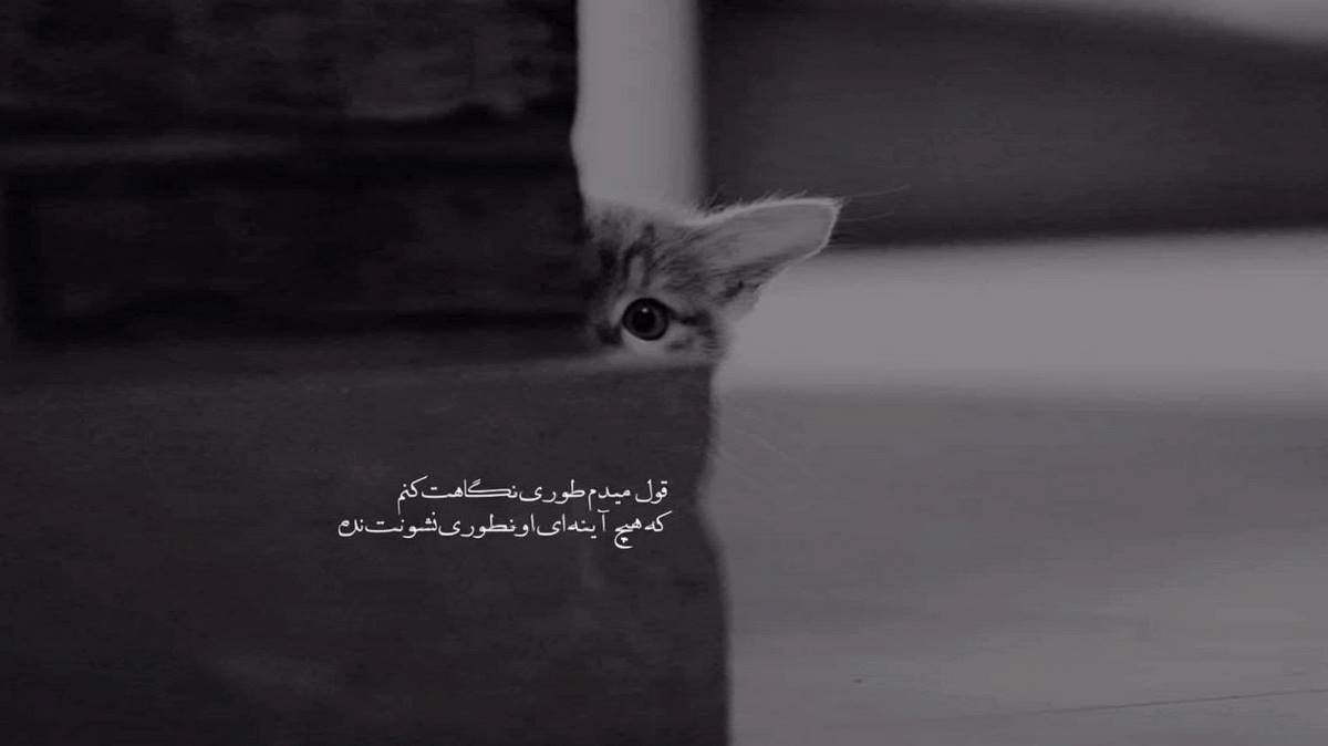 كردي عربي سيد جميل العبودي و رضا سهی